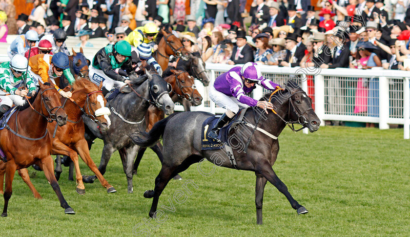 Pilgrim-0003 
 PILGRIM (Joe Fanning) wins The Palace of Holyroodhouse Stakes
Royal Ascot 21 Jun 2024 - Pic Steven Cargill / Racingfotos.com