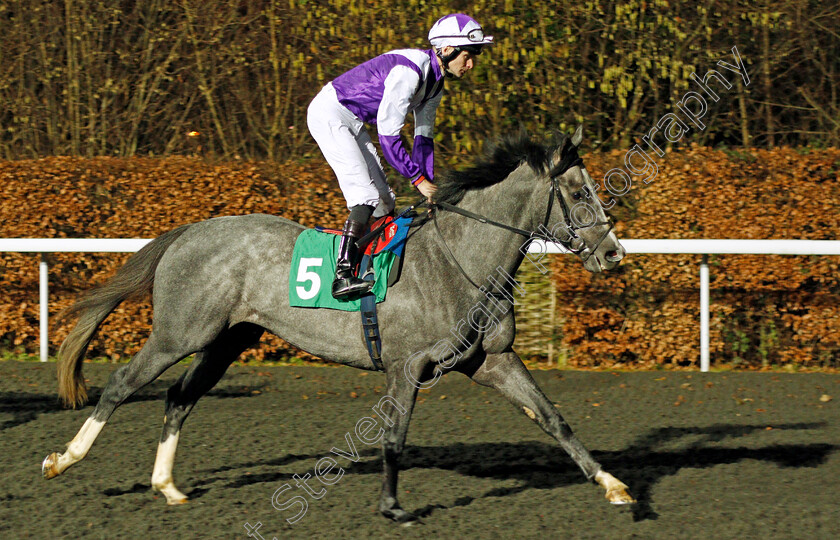 Glencadam-Master-0001 
 GLENCADAM MASTER (Robert Havlin) winner of The 32Red On The App Store Novice Stakes Div1 Kempton 20 Dec 2017 - Pic Steven Cargill / Racingfotos.com