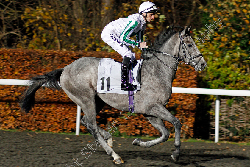 Three-Weeks-0001 
 THREE WEEKS (Daniel Tudhope) Kempton 22 Nov 2017 - Pic Steven Cargill / Racingfotos.com