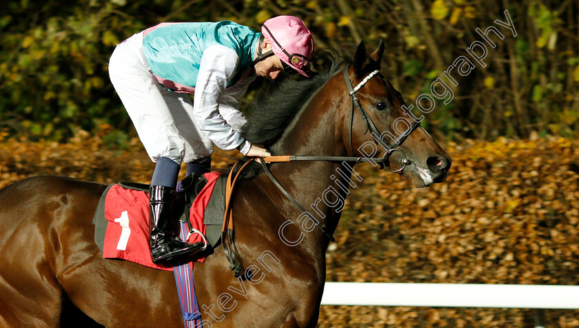 Headman-0004 
 HEADMAN (Kieran Shoemark)
Kempton 21 Nov 2018 - Pic Steven Cargill / Racingfotos.com