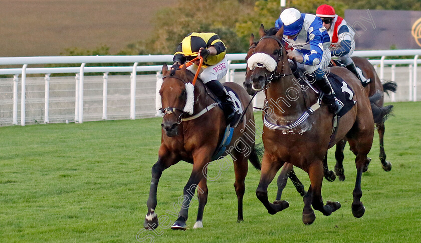 The-Daley-Express-0001 
 THE DALEY EXPRESS (left, Frederick Larson) beats THE DEFIANT (right) in The Chichester Observer Handicap
Goodwood 26 Aug 2022 - Pic Steven Cargill / Racingfotos.com