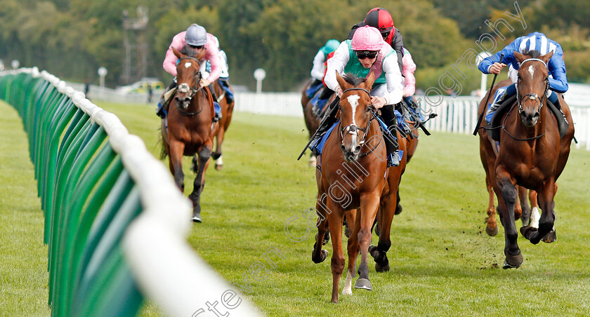 Snow-Shower-0002 
 SNOW SHOWER (centre, James Doyle) beats SHURAFFA (right) in The Bob McCreery Memorial EBF Quidhampton Maiden Fillies Stakes
Salisbury 5 Sep 2019 - Pic Steven Cargill / Racingfotos.com