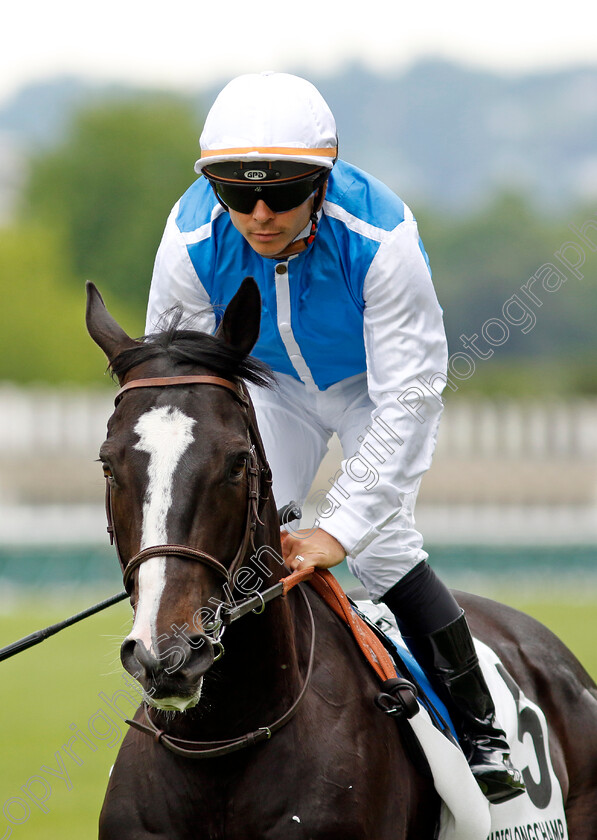 Gretzky-0001 
 GRETZKY (Maxime Guyon)
Longchamp 12 May 2024 - Pic Steven Cargill / Racingfotos.com