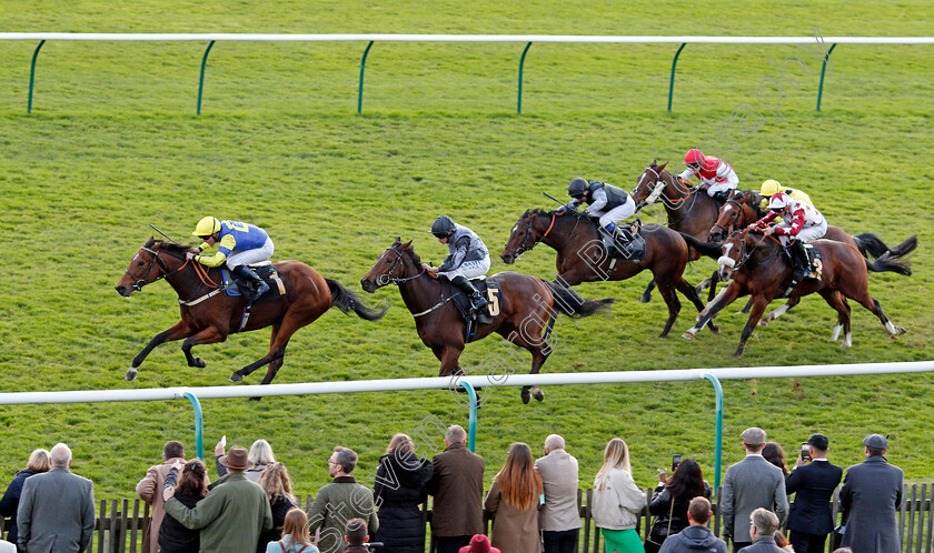 Farhh-To-Shy-0001 
 FARHH TO SHY (Tom Queally) beats AREEHAA (centre) in The 888sport Bet Builder Handicap
Newmarket 30 Oct 2021 - Pic Steven Cargill / Racingfotos.com