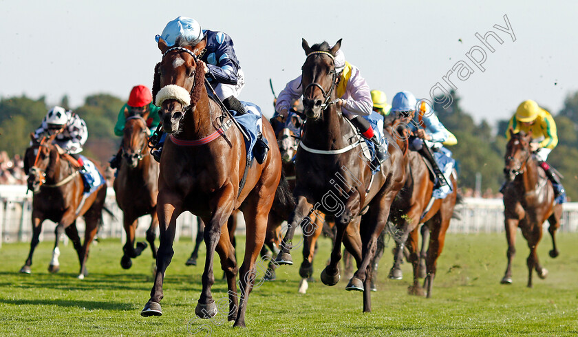 Que-Amoro-0002 
 QUE AMORO (Phil Dennis) wins The Sky Bet Apprentice Handicap
York 24 Aug 2019 - Pic Steven Cargill / Racingfotos.com