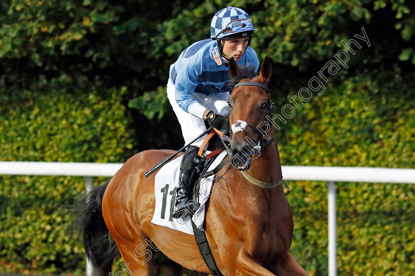 Poke-The-Bear-0001 
 POKE THE BEAR (Frederick Larson)
Kempton 6 Sep 2024 - Pic Steven Cargill / Racingfotos.com