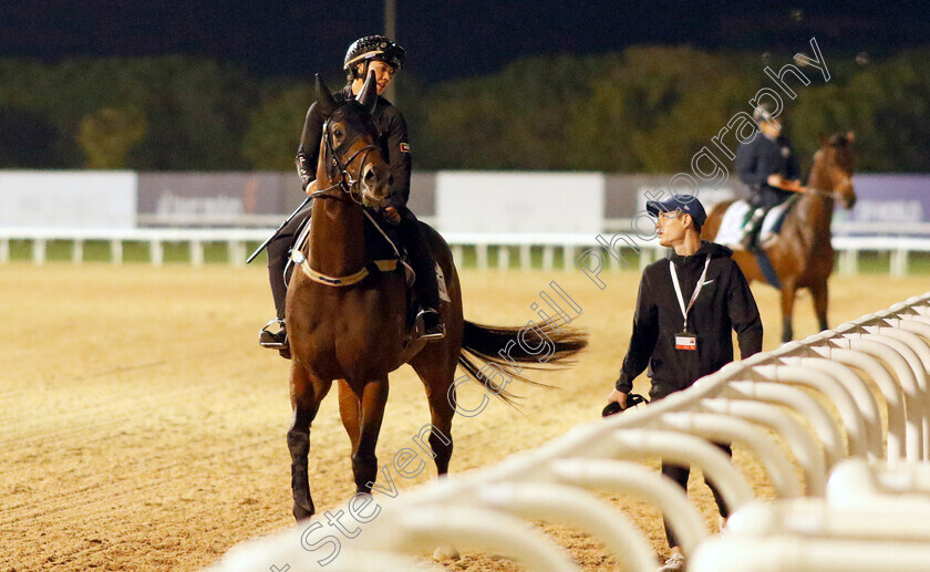 The-Astrologist-0003 
 THE ASTROLOGIST training for the Al Quoz Sprint
Meydan, Dubai, 23 Mar 2023 - Pic Steven Cargill / Racingfotos.com