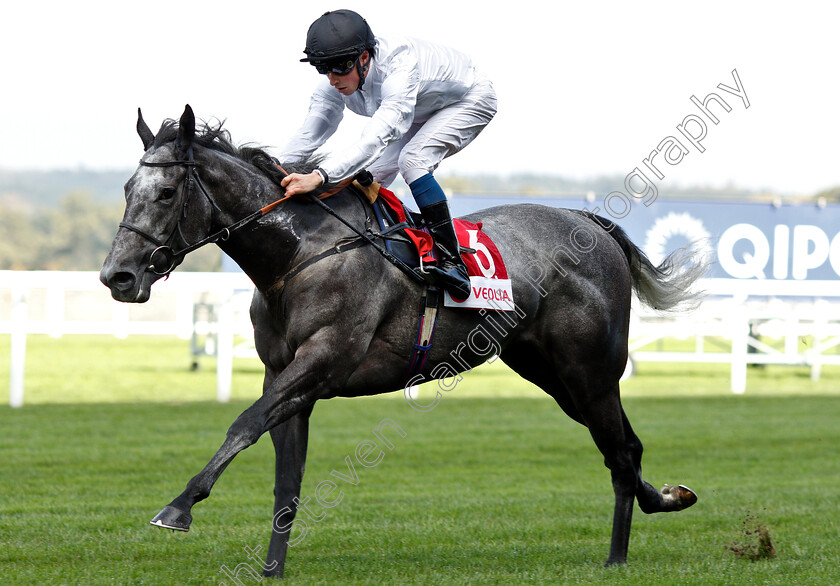 Lush-Life-0005 
 LUSH LIFE (William Buick) wins The Veolia Handicap
Ascot 5 Oct 2018 - Pic Steven Cargill / Racingfotos.com