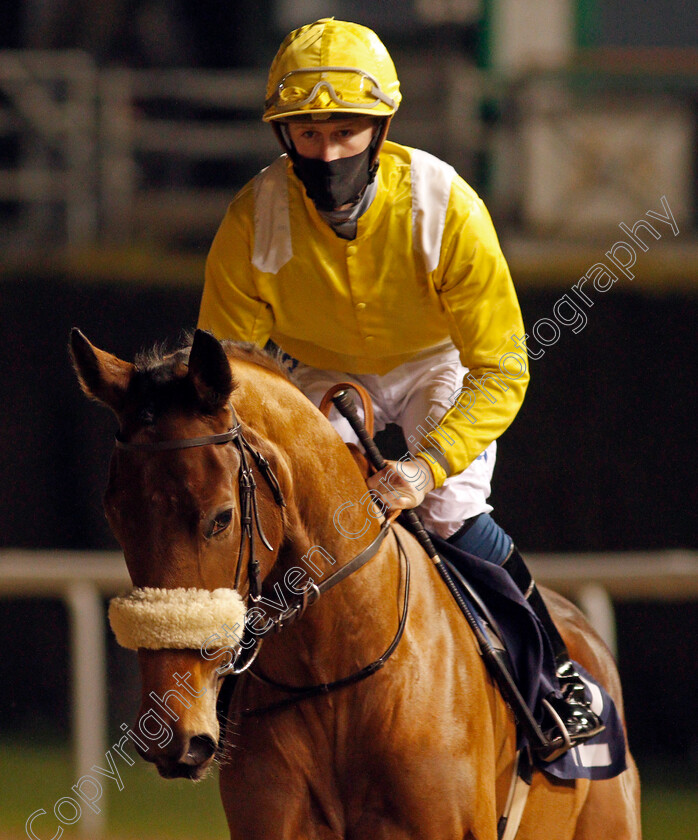 Capricious-0001 
 CAPRICIOUS (Joey Haynes)
Wolverhampton 5 Dec 2020 - Pic Steven Cargill / Racingfotos.com