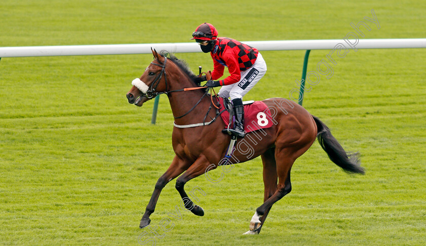 Tahonta-0001 
 TAHONTA (Graham Lee)
Haydock 3 Sep 2020 - Pic Steven Cargill / Racingfotos.com