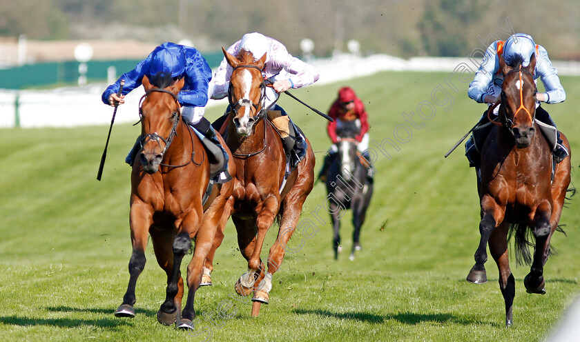 Rastrelli-0004 
 RASTRELLI (left, William Buick) beats TIGRE DU TERRE (right) and BOMBYX (centre) in The Dubai Duty Free Golf World Cup British EBF Stakes Newbury 20 Apr 2018 - Pic Steven Cargill / Racingfotos.com