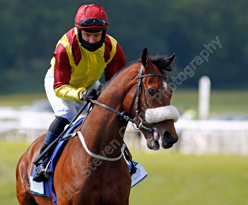 Ben-Macdui-0001 
 BEN MACDUI (Tom Eaves)
York 12 Jun 2021 - Pic Steven Cargill / Racingfotos.com