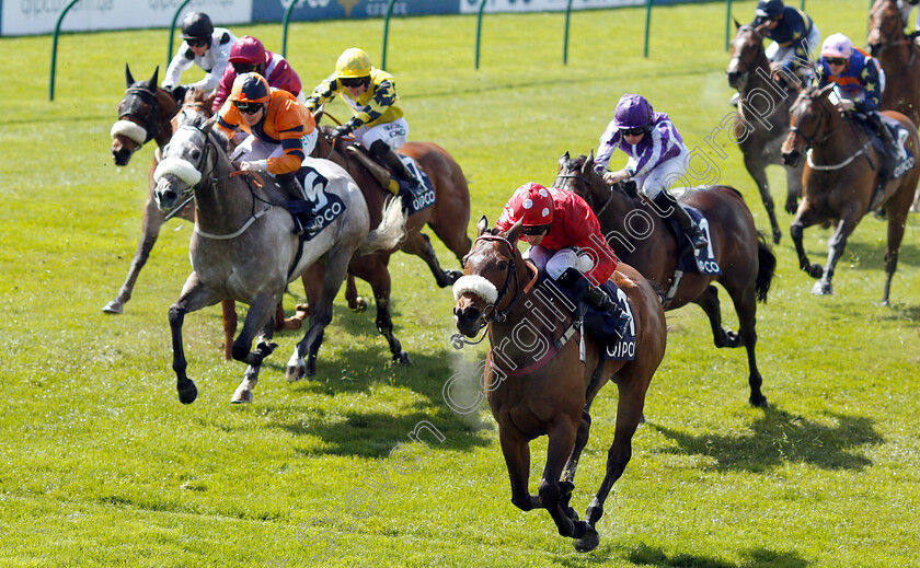 Mabs-Cross-0004 
 MABS CROSS (Paul Mulrennan) wins The Zoustar Palace House Stakes
Newmarket 4 May 2019 - Pic Steven Cargill / Racingfotos.com