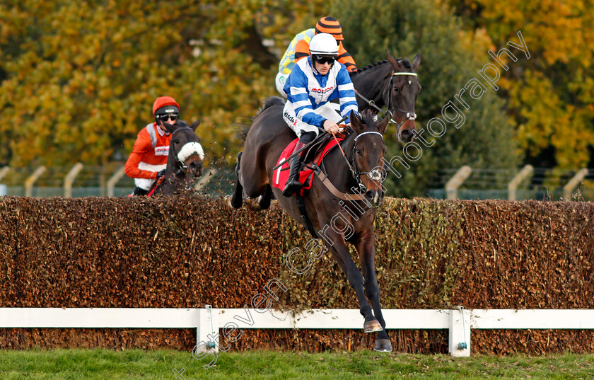 Frodon-0002 
 FRODON (Sam Twiston-Davies) Sandown 12 Nov 2017 - Pic Steven Cargill / Racingfotos.com