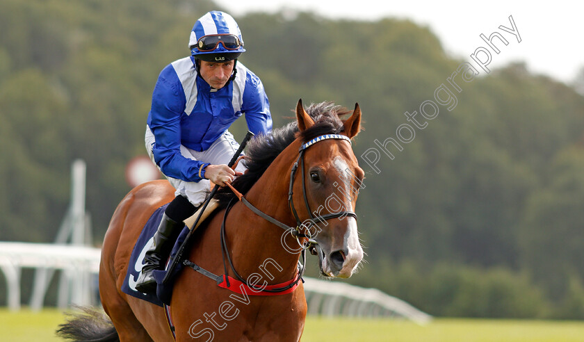 Waqt-0002 
 WAQT (Dane O'Neill) Chepstow 6 Sep 2017 - Pic Steven Cargill / Racingfotos.com