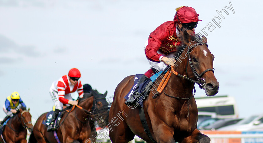 Zoology-0002 
 ZOOLOGY (Cieren Fallon) wins The British Stallion Studs EBF Novice Stakes
Yarmouth 13 Sep 2022 - Pic Steven Cargill / Racingfotos.com