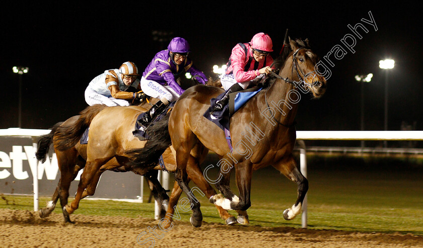 Swiss-Storm-0003 
 SWISS STORM (David Probert) wins The Betway Handicap
Wolverhampton 26 Feb 2019 - Pic Steven Cargill / Racingfotos.com