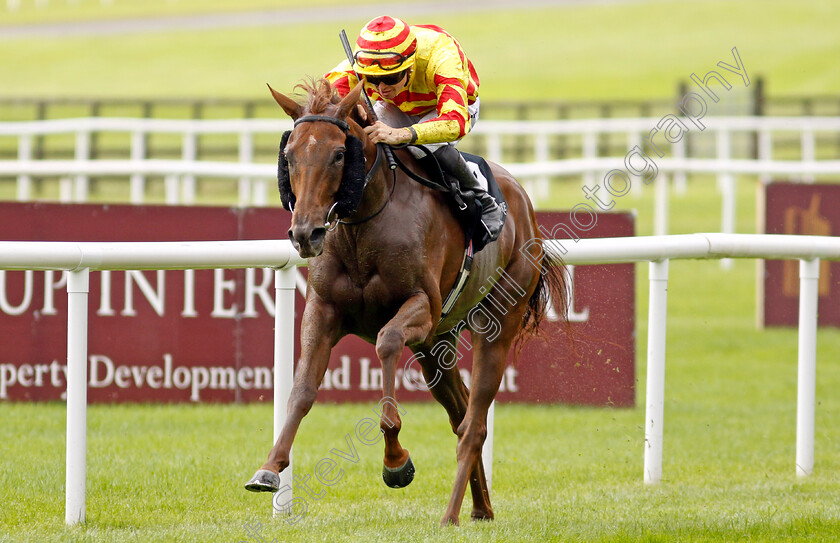 Lumiere-Rock-0002 
 LUMIERE ROCK (Dylan Browne McMonagle) wins The Moyglare Jewels Blandford Stakes
The Curragh 10 Sep 2023 - Pic Steven Cargill / Racingfotos.com