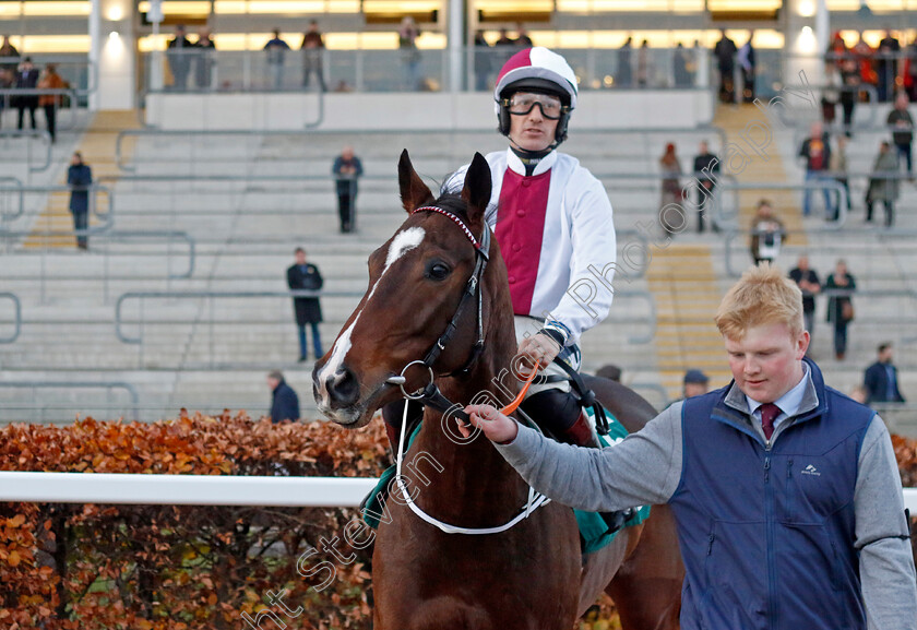 Minella-Hollow-0001 
 MINELLA HOLLOW (Sam Tiwston-Davies)
Cheltenham 17 Nov 2024 - Pic Steven Cargill / Racingfotos.com