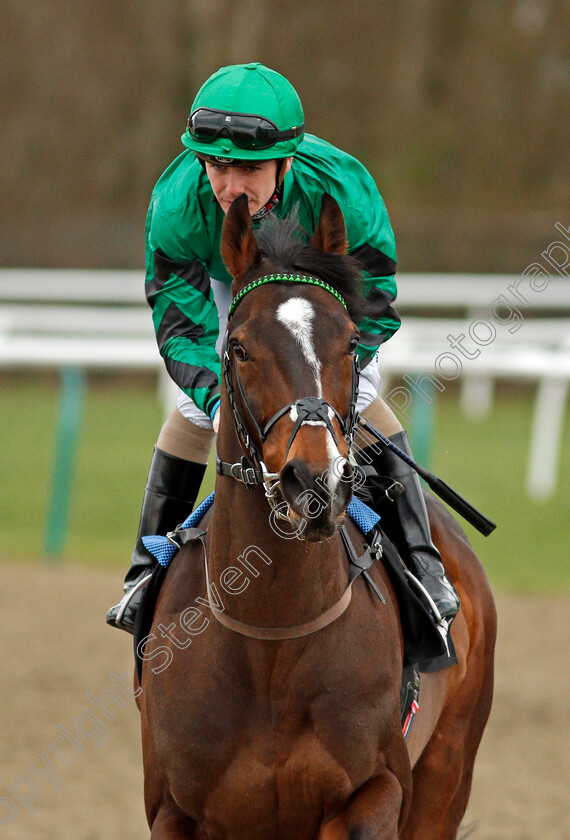 Court-House-0001 
 COURT HOUSE (Kieran O'Neill)
Lingfield 22 Feb 2020 - Pic Steven Cargill / Racingfotos.com