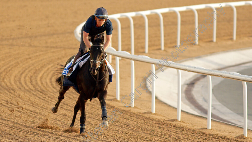 Pogo-0001 
 POGO training for the Godolphin Mile
Meydan, Dubai, 23 Mar 2022 - Pic Steven Cargill / Racingfotos.com