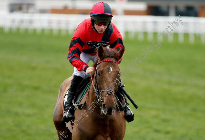 House-Island-0003 
 HOUSE ISLAND (Gavin Sheehan) winner of The Racing TV Standard Open National Hunt Flat Race
Newbury 22 Mar 2019 - Pic Steven Cargill / Racingfotos.com