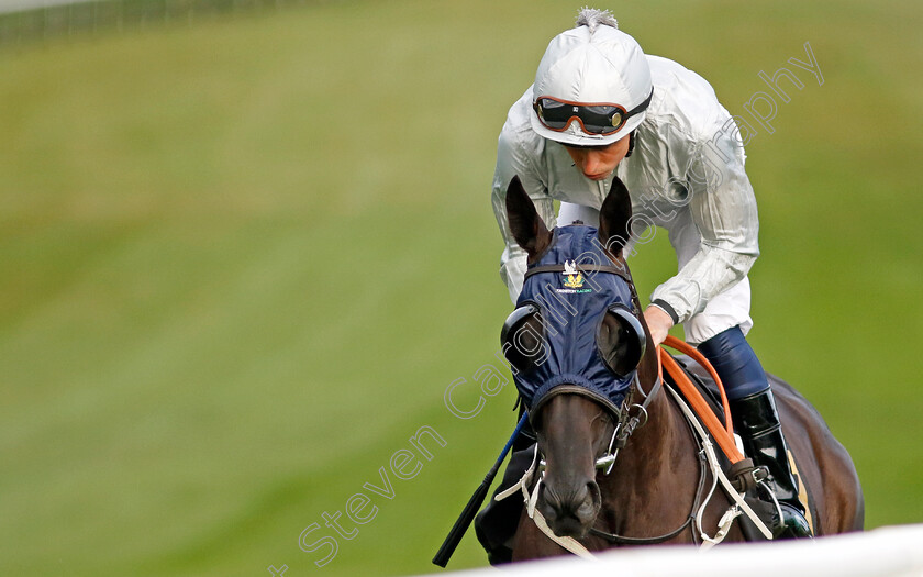 Royal-Tapestry-0001 
 ROYAL TAPESTRY (William Buick)
Newmarket 28 Jun 2024 - Pic Steven Cargill / Racingfotos.com