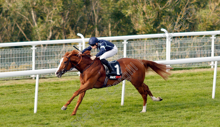 Autumn-War-0005 
 AUTUMN WAR (Callum Shepherd) wins The netbet.co.uk Novice Stakes
Goodwood 4 Sep 2018 - Pic Steven Cargill / Racingfotos.com