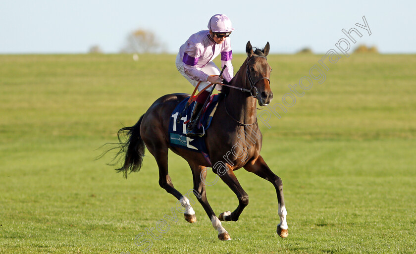 The-Gadget-Man-0001 
 THE GADGET MAN (Rob Hornby)
Newmarket 20 Oct 2021 - Pic Steven Cargill / Racingfotos.com