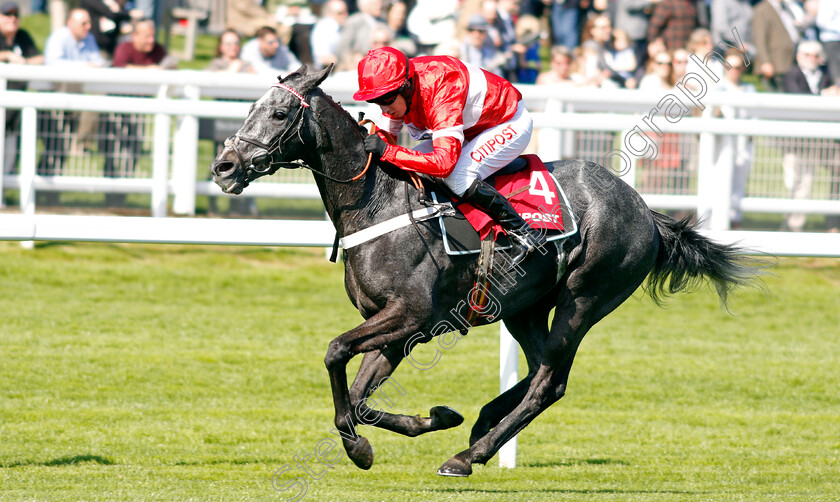 Diese-Des-Bieffes-0004 
 DIESE DES BIEFFES (Noel Fehily) wins The Citipost Novices Hurdle Cheltenham 18 Apr 2018 - Pic Steven Cargill / Racingfotos.com