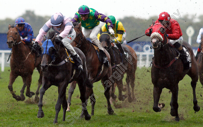 Erissimus-Maximus-0003 
 ERISSIMUS MAXIMUS (Nicola Currie) beats HOLMESWOOD (right) in The Mcgee Group Handicap
Ascot 6 Oct 2018 - Pic Steven Cargill / Racingfotos.com