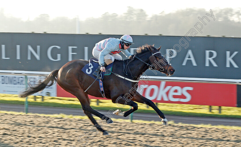 Cardano-0001 
 CARDANO (Richard Kingscote) wins The Betway Handicap
Lingfield 9 Jan 2021 - Pic Steven Cargill / Racingfotos.com