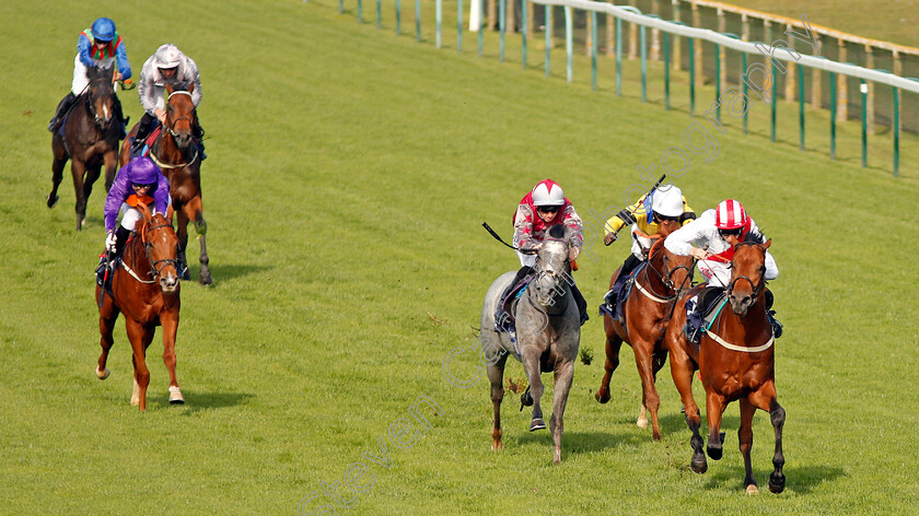 Foreseeable-Future-0003 
 FORSEEABLE FUTURE (right, Luke Morris) beats ELITE SHADOW (grey) and PRANCEABOOTTHETOON (yellow) in The British EBF Novice Stakes Yarmouth 16 Oct 2017 - Pic Steven Cargill / Racingfotos.com