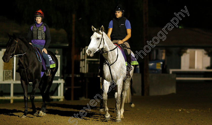 Lord-Glitters-and-Suedois-0001 
 LORD GLITTERS (right) with SUEDOIS (left) training for the Breeders' Cup Mile
Santa Anita USA 30 Oct 2019 - Pic Steven Cargill / Racingfotos.com