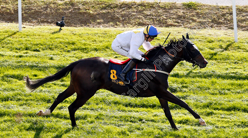 Buddy-Bob-0003 
 BUDDY BOB (Jan-Erik Neuroth) wins The Upplands-Bro Kommuns Stora Pris
Bro Park, Sweden 23 Sep 2018 - Pic Steven Cargill / Racingfotos.com