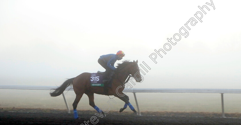 Mishriff-0003 
 MISHRIFF (Frankie Dettori) training for the Breeders' Cup Turf
Keeneland USA 3 Nov 2022 - Pic Steven Cargill / Racingfotos.com