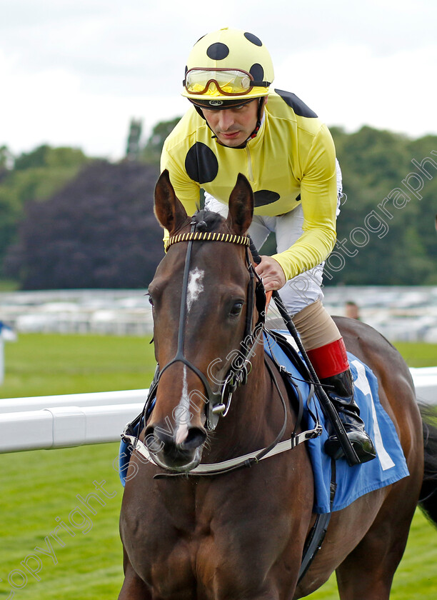 Cold-Case-0001 
 COLD CASE (Andrea Atzeni) winner of The Reg Griffin Appreciation Ebfstallions.com Maiden Stakes
York 11 Jun 2022 - Pic Steven Cargill / Racingfotos.com