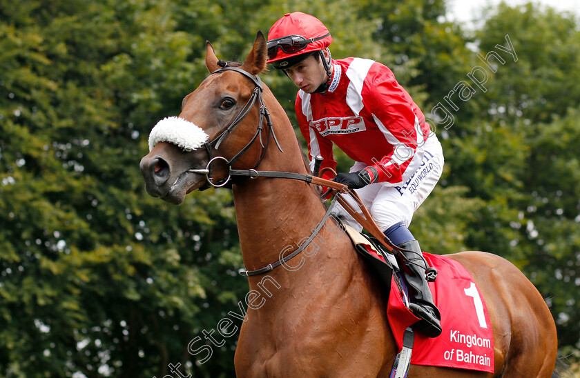 Berkshire-Blue-0001 
 BERKSHIRE BLUE (Oisin Murphy)
Newmarket 12 Jul 2018 - Pic Steven Cargill / Racingfotos.com