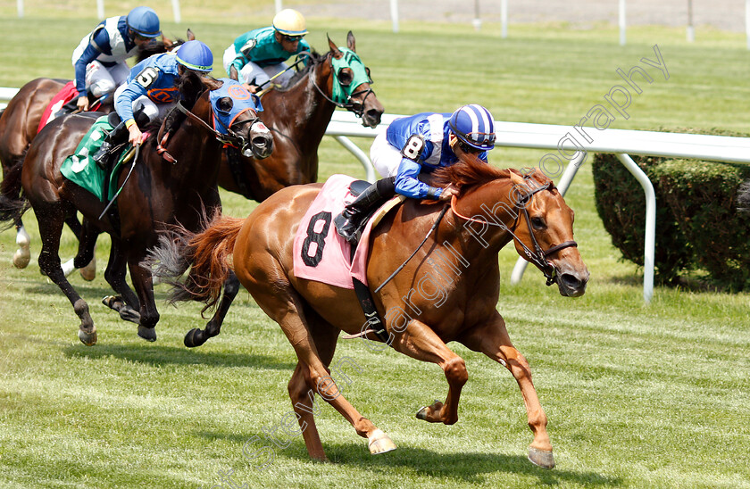 Almanaar-0003 
 ALMANAAR (Joel Rosario) wins Allowance Optional Claimer 
Belmont Park 8 Jun 2018 - Pic Steven Cargill / Racingfotos.com