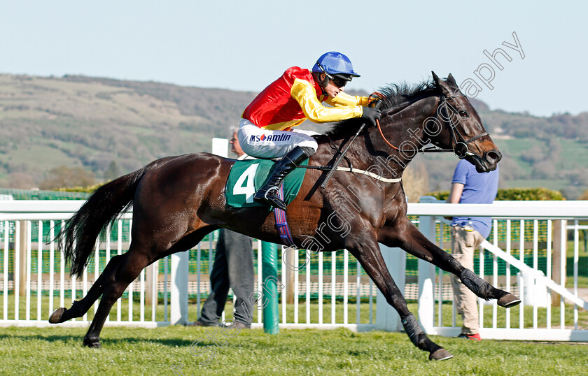 Sister-Sibyl-0003 
 SISTER SIBYL (Tom O'Brien) wins The TBA Mares Handicap Chase Cheltenham 19 Apr 2018 - Pic Steven Cargill / Racingfotos.com