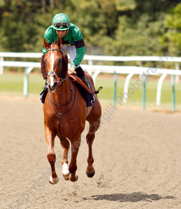 Twister-0001 
 TWISTER (Ryan Tate)
Lingfield 25 Jul 2018 - Pic Steven Cargill / Racingfotos.com