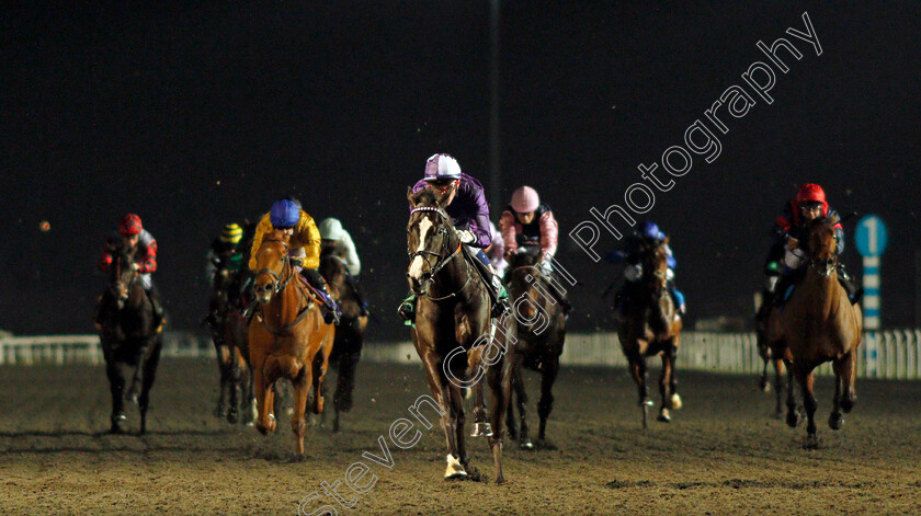 Kingmax-0006 
 KINGMAX (David Egan) wins The Unibet Novice Stakes
Kempton 2 Mar 2022 - Pic Steven Cargill / Racingfotos.com