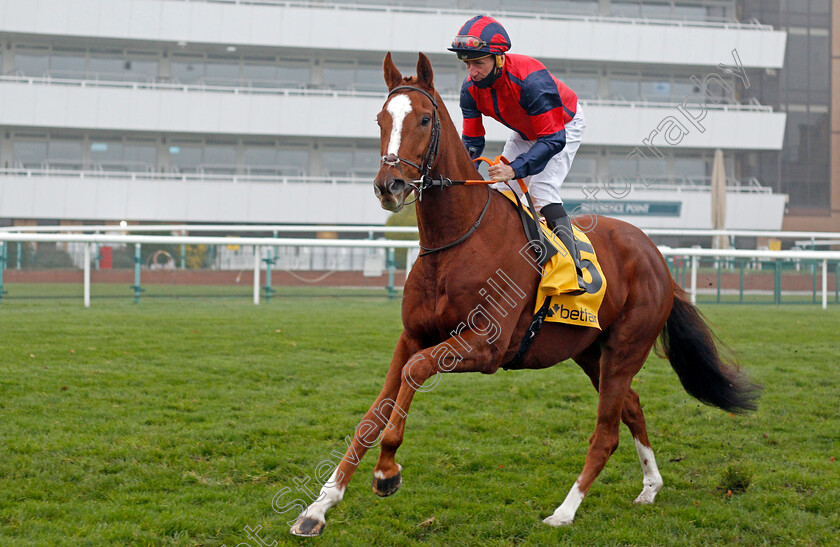 Nuits-St-Georges-0001 
 NUITS ST GEORGES (John Egan)
Doncaster 7 Nov 2020 - Pic Steven Cargill / Racingfotos.com