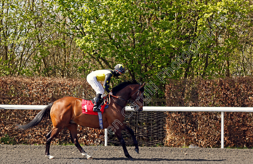 Blue-De-Vega-0001 
 BLUE DE VEGA (Ray Dawson)
Kempton 5 Apr 2021 - Pic Steven Cargill / Racingfotos.com