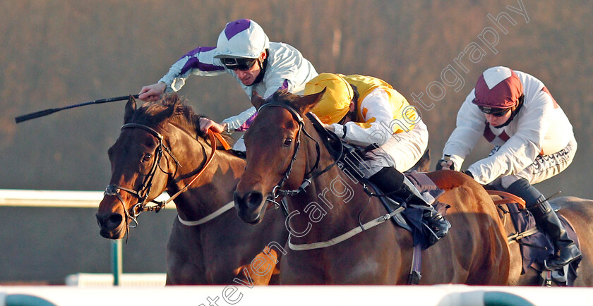 Mamillius-0002 
 MAMILLIUS (left, Shane Kelly) beats INVINCIBLE LARNE (right) in The Play 4 To Win At Betway Handicap
Lingfield 9 Jan 2021 - Pic Steven Cargill / Racingfotos.com