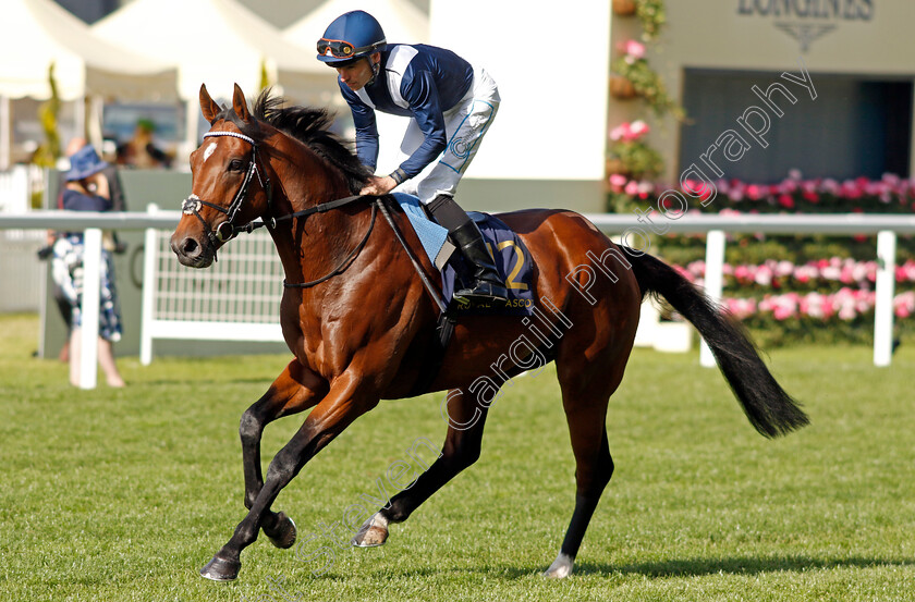 Theory-Of-Tides-0001 
 THEORY OF TIDES (Kieran Shoemark)
Royal Ascot 21 Jun 2024 - Pic Steven Cargill / Racingfotos.com