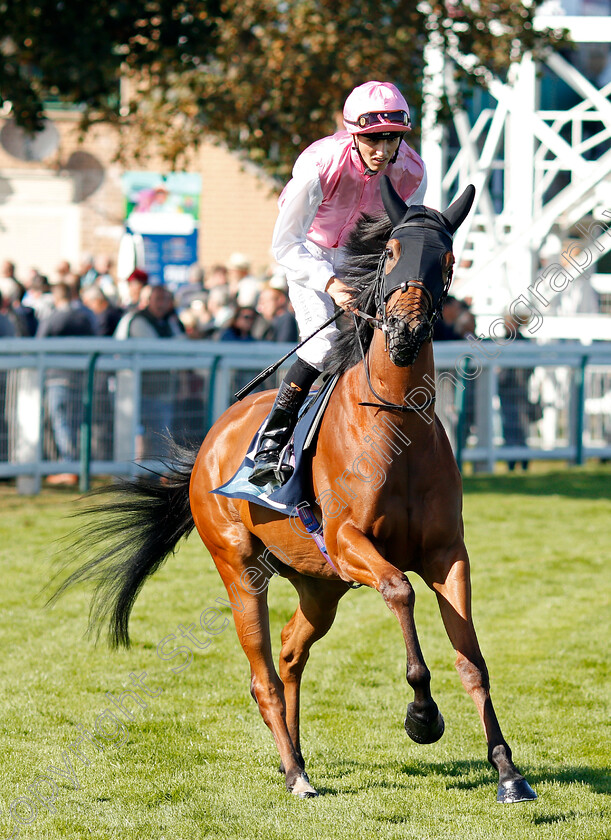 Maid-For-Life-0001 
 MAID FOR LIFE (George Wood)
Yarmouth 18 Sep 2019 - Pic Steven Cargill / Racingfotos.com