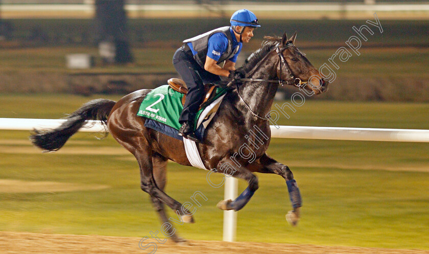 Cloth-Of-Stars-0002 
 CLOTH OF STARS exercising in preparation for The Dubai Sheema Classic Meydan 28 Mar 2018 - Pic Steven Cargill / Racingfotos.com