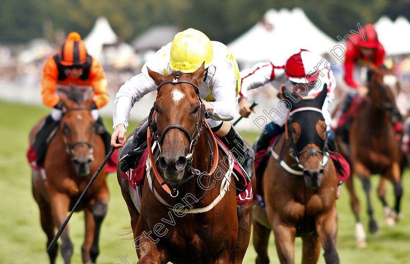 King s-Advice-0004 
 KING'S ADVICE (Joe Fanning) wins The Qatar Summer Handicap
Goodwood 3 Aug 2019 - Pic Steven Cargill / Racingfotos.com