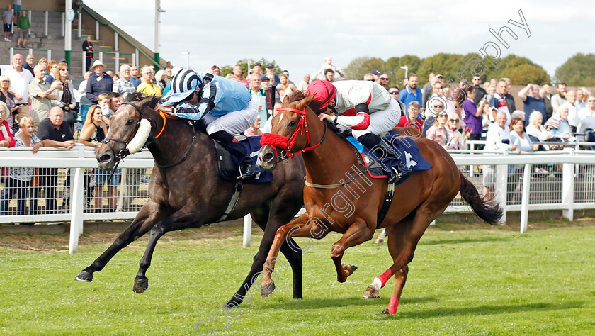 Chanson-D Amour-0004 
 CHANSON D'AMOUR (left, Martin Harley) beats AMASOVA (right) in The Sky Sports Racing Sky 415 Handicap
Yarmouth 13 Sep 2022 - Pic Steven Cargill / Racingfotos.com